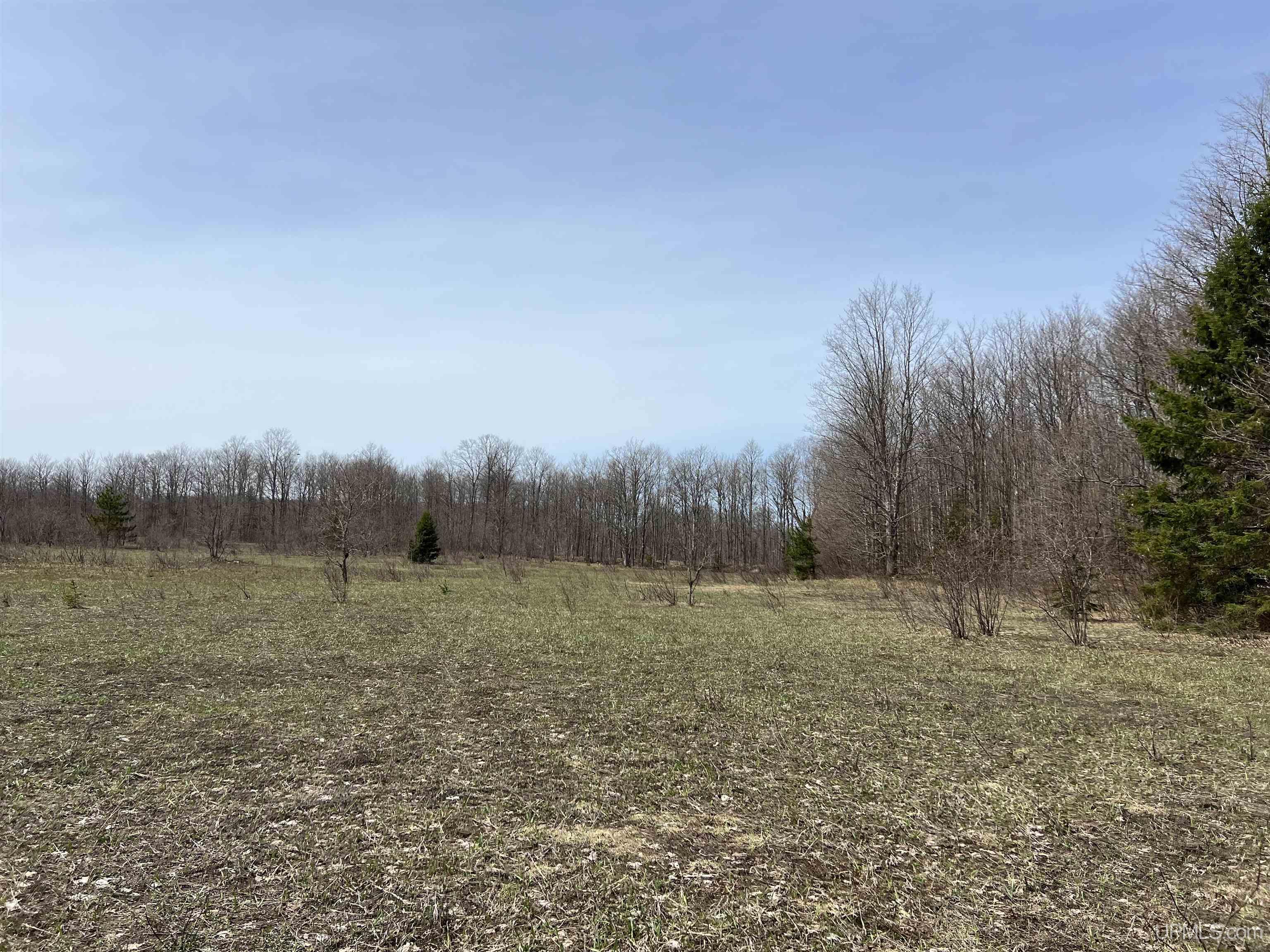 H58 St Shingleton Mi 49895 Shingleton, MI 49884 - Photo 7 of 21