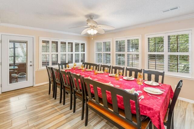 313 Jungle Road Edisto Island, SC 29438 - Photo 21 of 54 20a