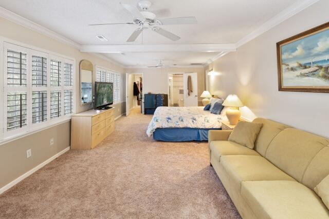 313 Jungle Road Edisto Island, SC 29438 - Photo 26 of 54 27