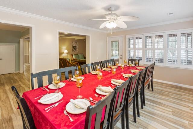 313 Jungle Road Edisto Island, SC 29438 - Photo 32 of 54 32