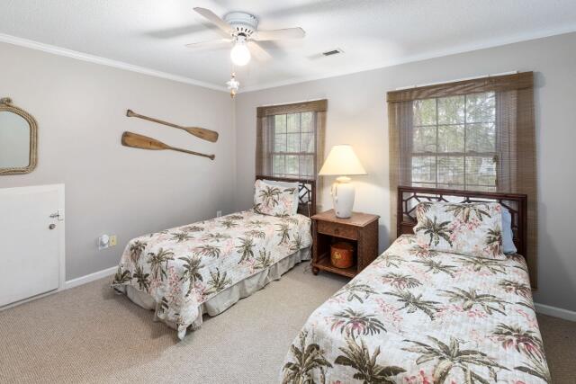 313 Jungle Road Edisto Island, SC 29438 - Photo 35 of 54 36