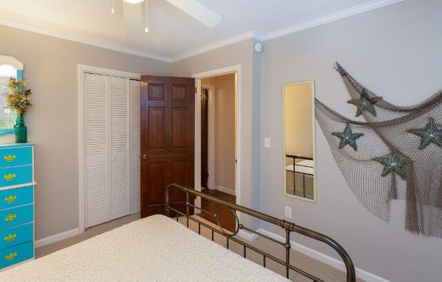 313 Jungle Road Edisto Island, SC 29438 - Photo 38 of 54 39