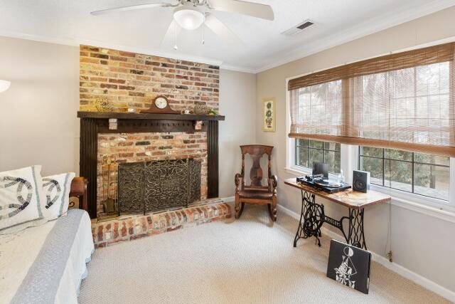 313 Jungle Road Edisto Island, SC 29438 - Photo 41 of 54 42