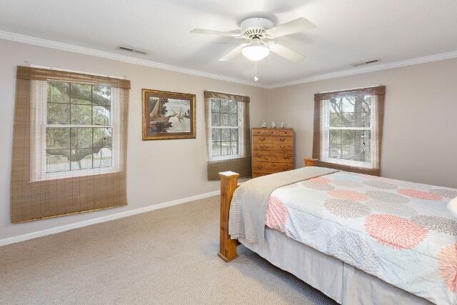 313 Jungle Road Edisto Island, SC 29438 - Photo 42 of 54 43