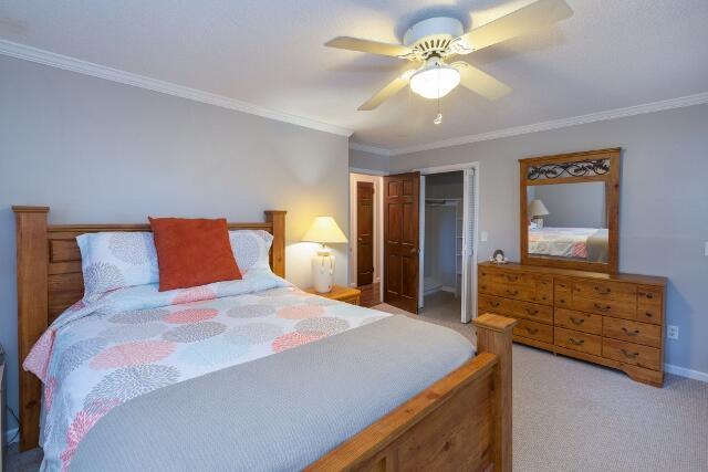 313 Jungle Road Edisto Island, SC 29438 - Photo 43 of 54 44