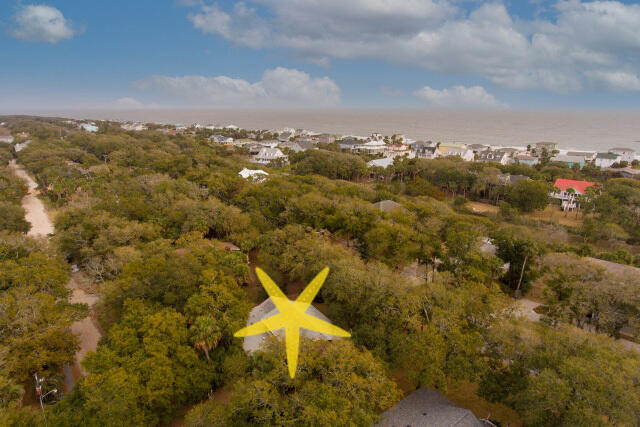 313 Jungle Road Edisto Island, SC 29438 - Photo 6 of 54 3a