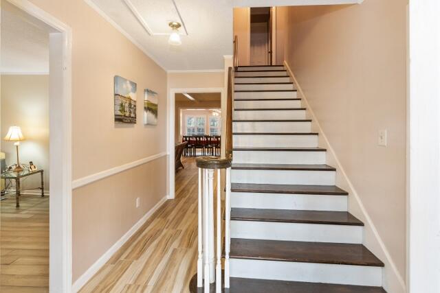 313 Jungle Road Edisto Island, SC 29438 - Photo 10 of 54 6