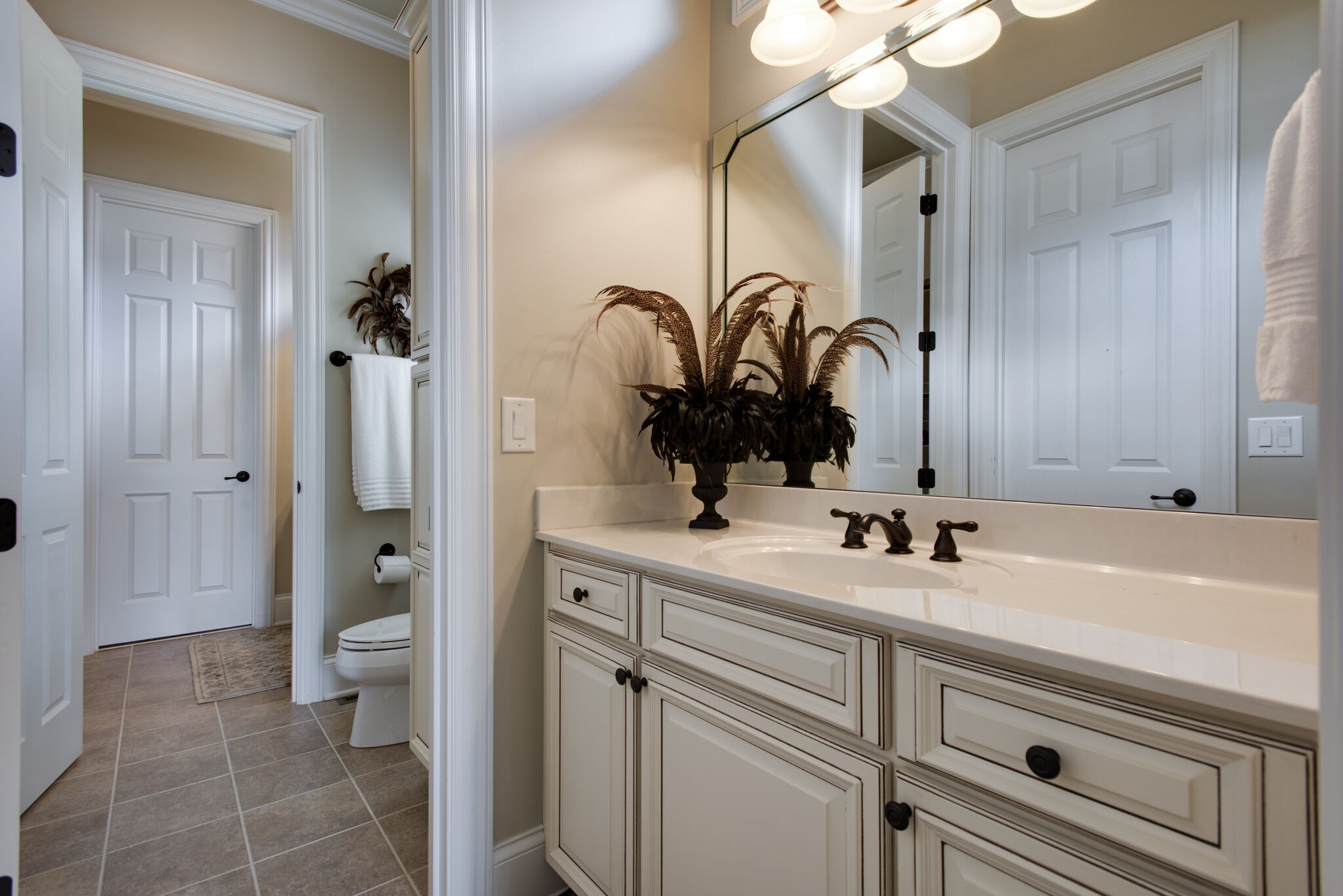 333 Whitewater Way Franklin, TN 37064 - Photo 24 of 39 a bathroom with a sink a toilet and a mirror