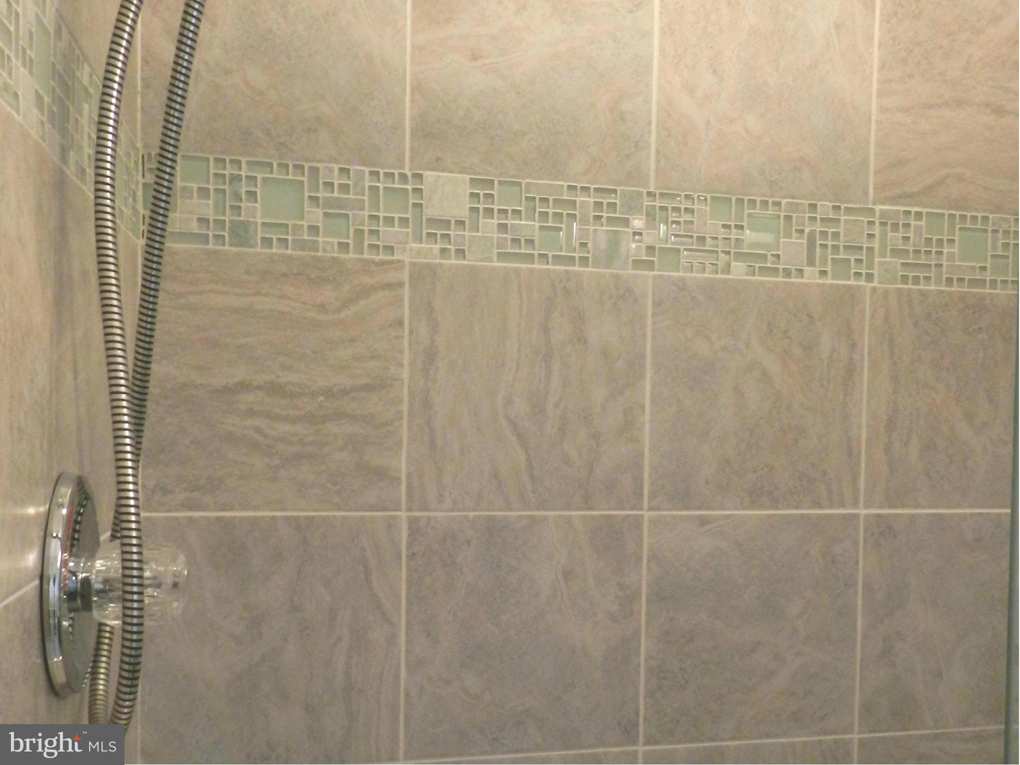 13224 Bregman Road Silver Spring, MD 20904 - Photo 12 of 29 Master Bath Shower