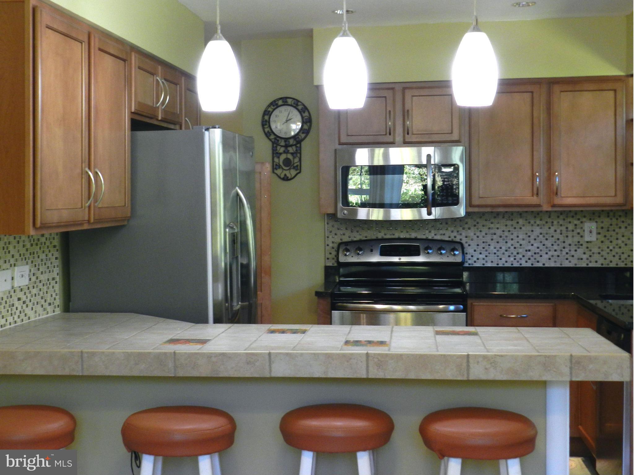13224 Bregman Road Silver Spring, MD 20904 - Photo 6 of 29 Kitchen 2