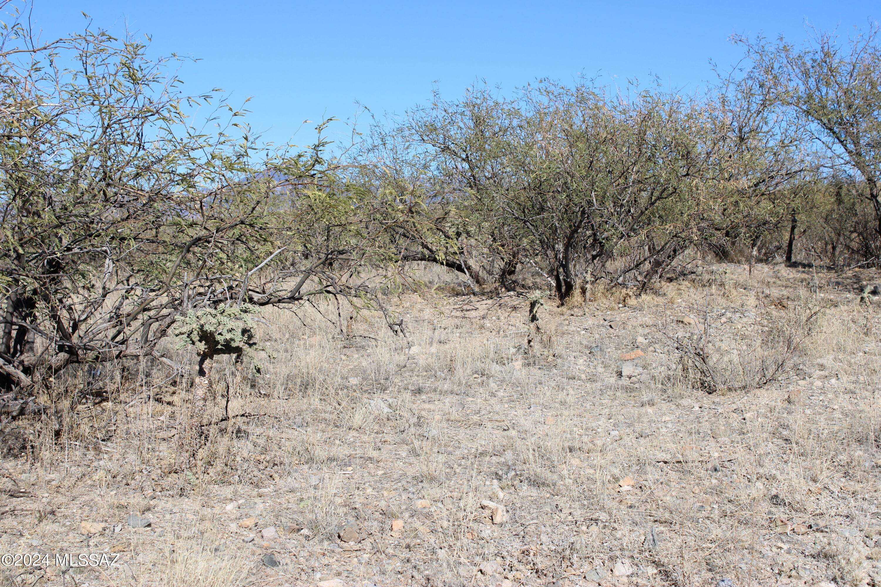 1756 Ruta Caravela, Unit 17 Rio Rico, AZ 85648 - Photo 1 of 4
