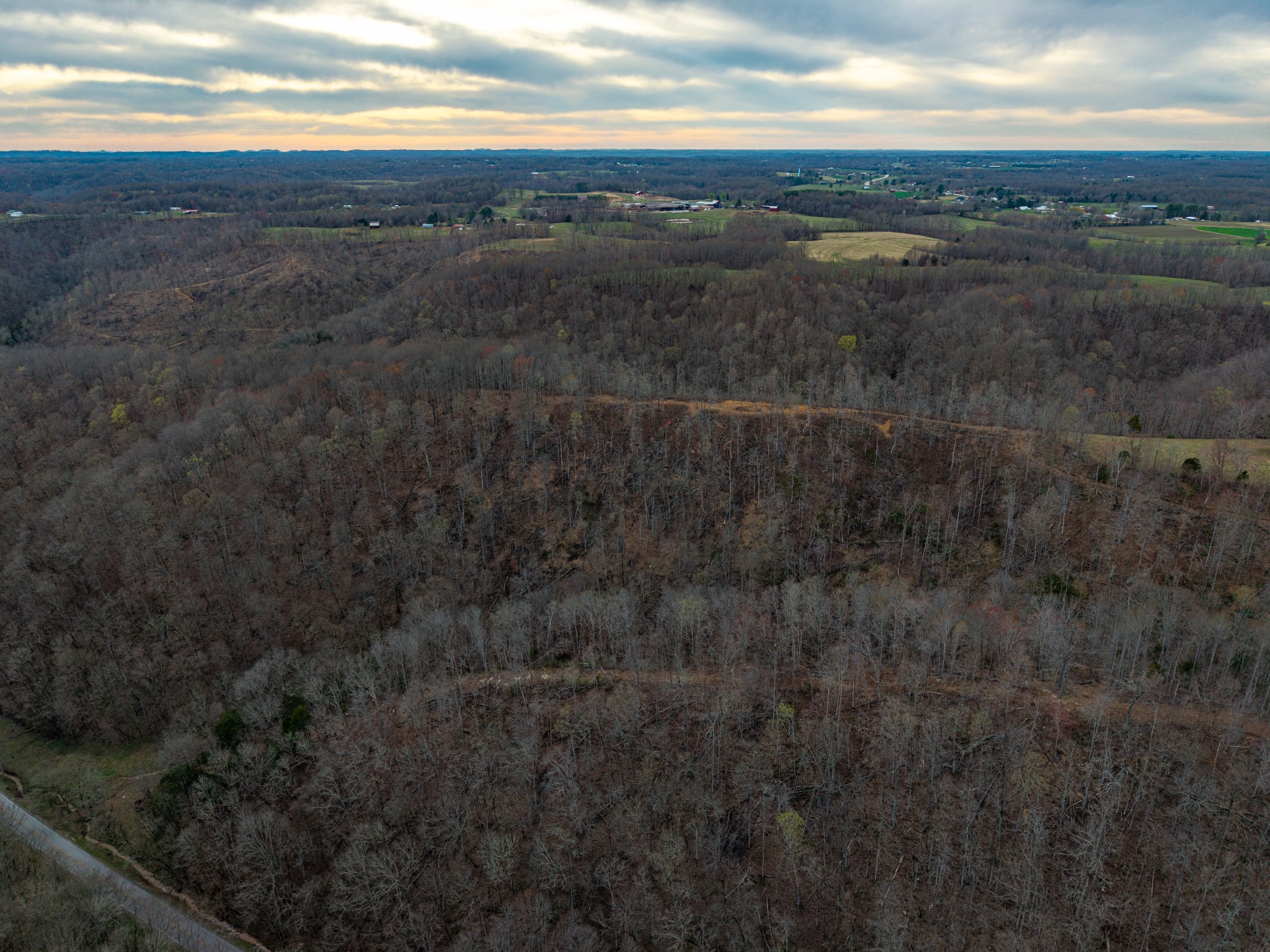 1438 Wartrace Road Pleasant Shade, TN 37145 - Photo 11 of 44 a view of city and mountain