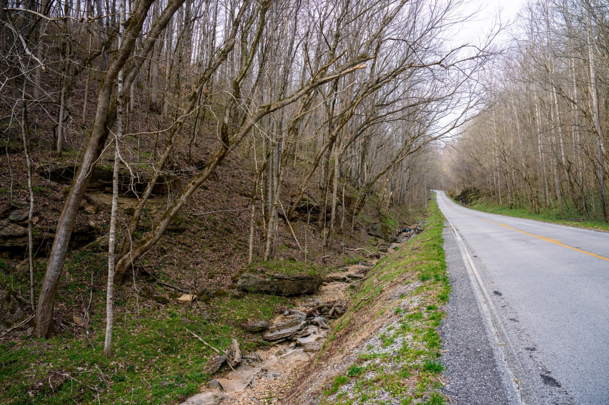 1438 Wartrace Road Pleasant Shade, TN 37145 - Photo 12 of 44 a view of a yard with plants and trees