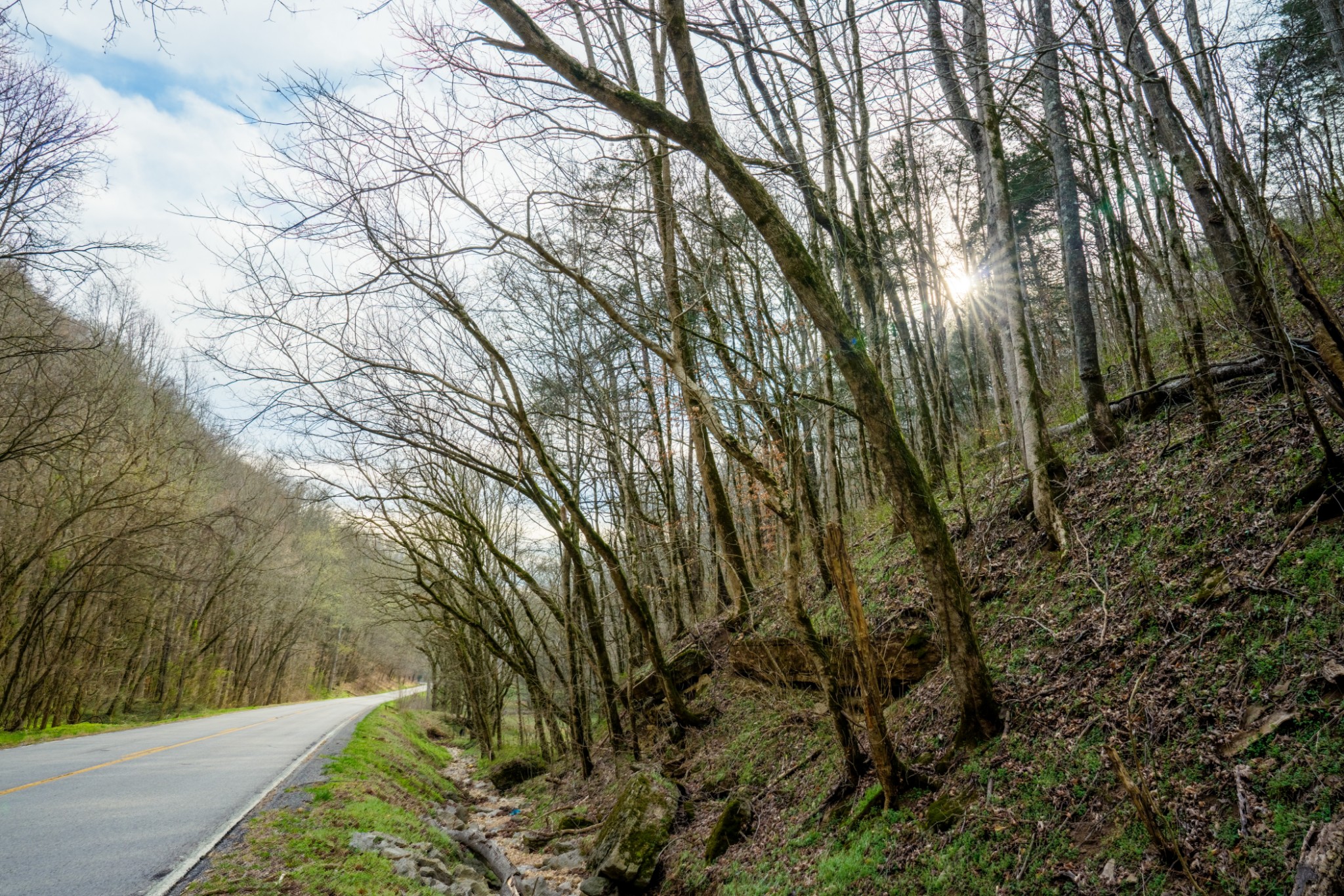 1438 Wartrace Road Pleasant Shade, TN 37145 - Photo 13 of 44 a backyard of a house with lots of green space
