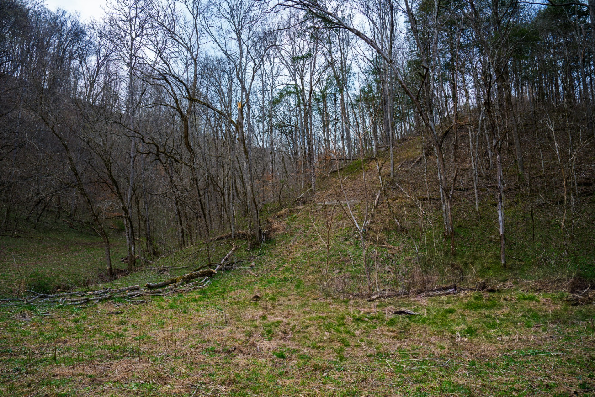 1438 Wartrace Road Pleasant Shade, TN 37145 - Photo 14 of 44 a view of a yard