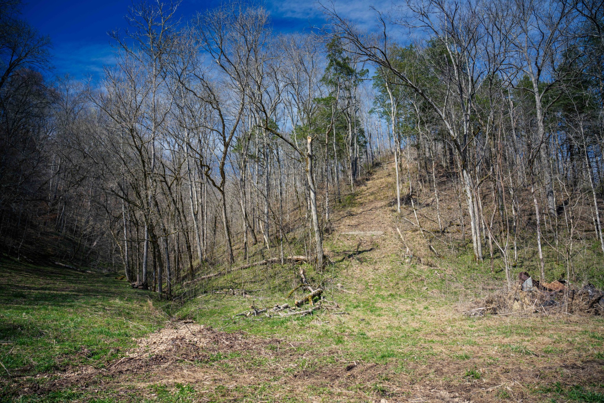 1438 Wartrace Road Pleasant Shade, TN 37145 - Photo 16 of 44 a view of backyard with green space