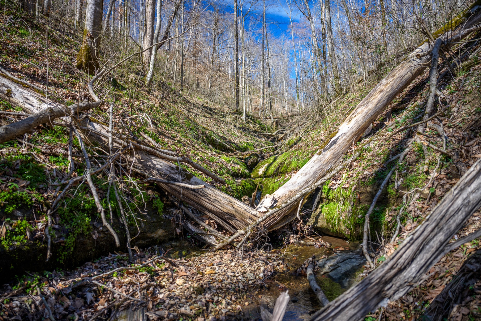 1438 Wartrace Road Pleasant Shade, TN 37145 - Photo 23 of 44