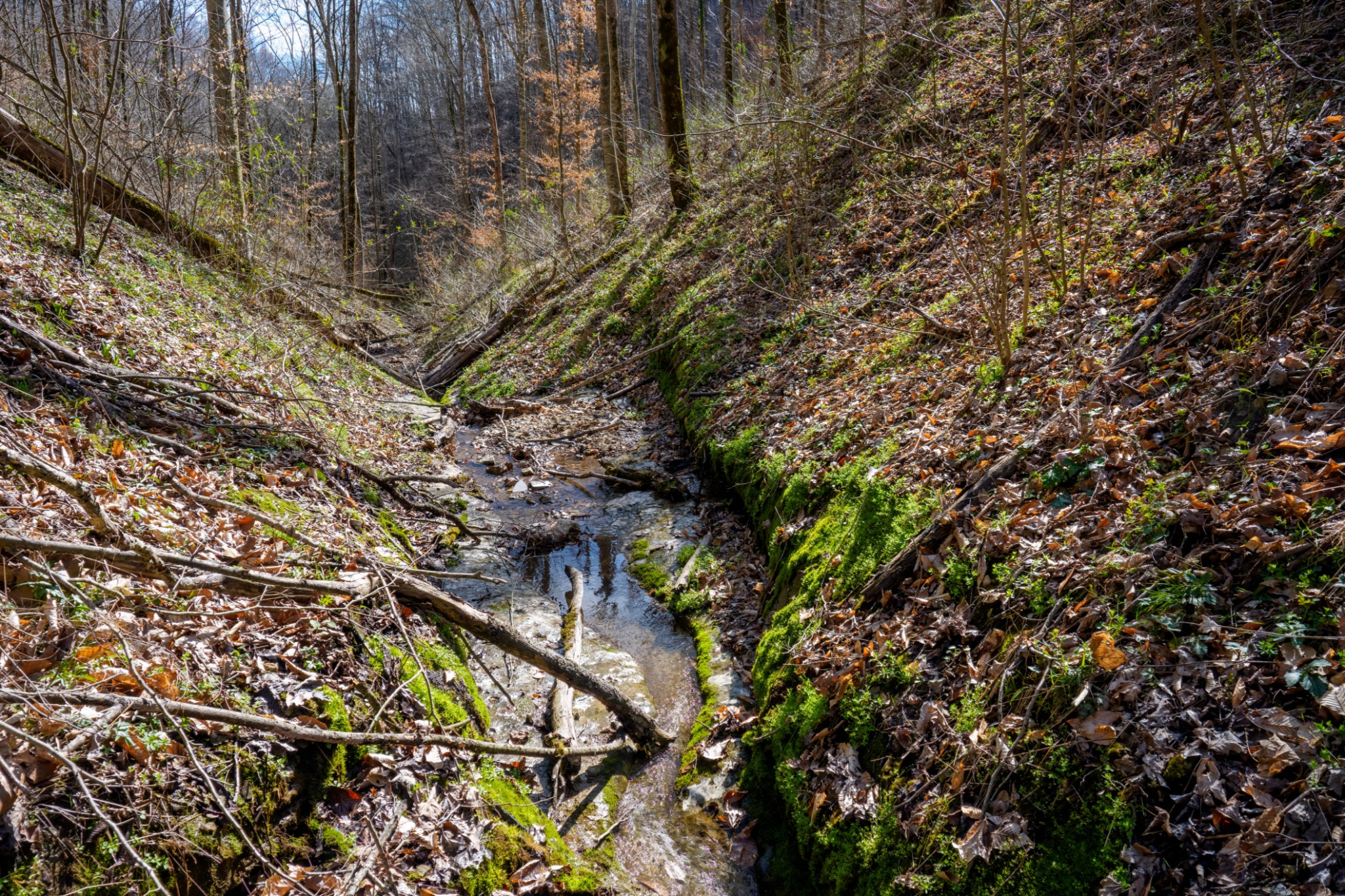 1438 Wartrace Road Pleasant Shade, TN 37145 - Photo 29 of 44
