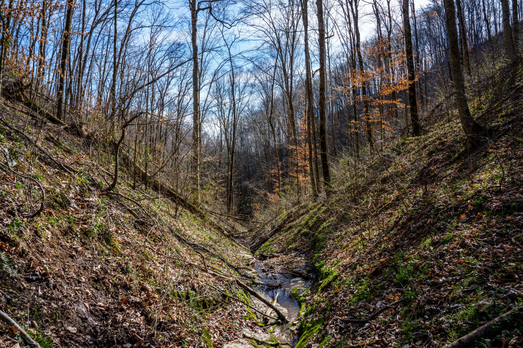 1438 Wartrace Road Pleasant Shade, TN 37145 - Photo 30 of 44