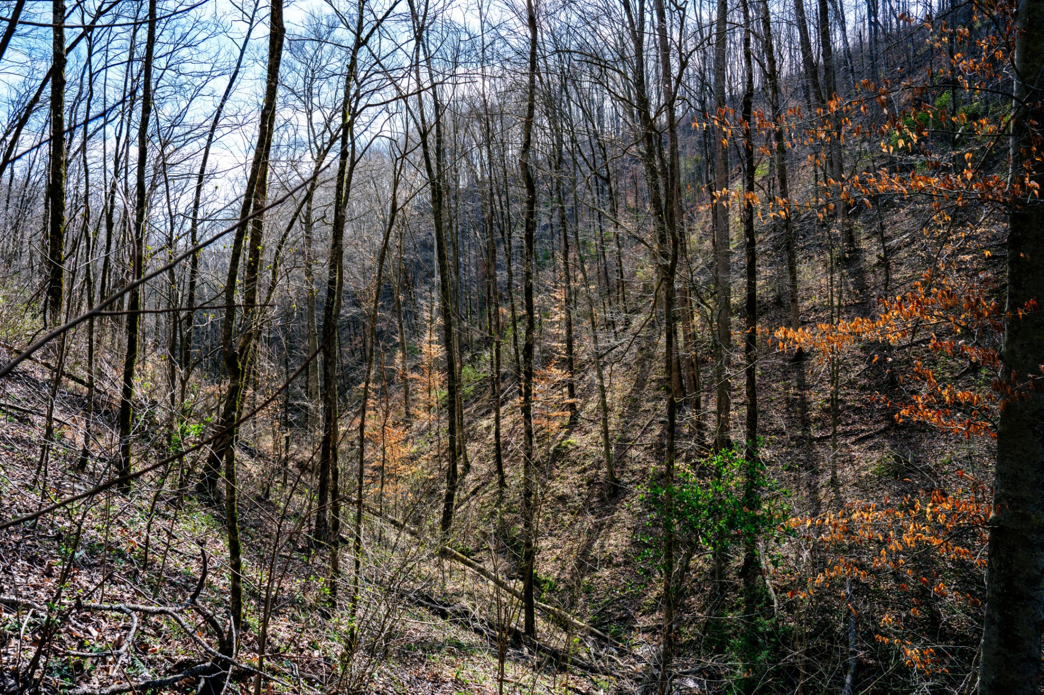 1438 Wartrace Road Pleasant Shade, TN 37145 - Photo 31 of 44