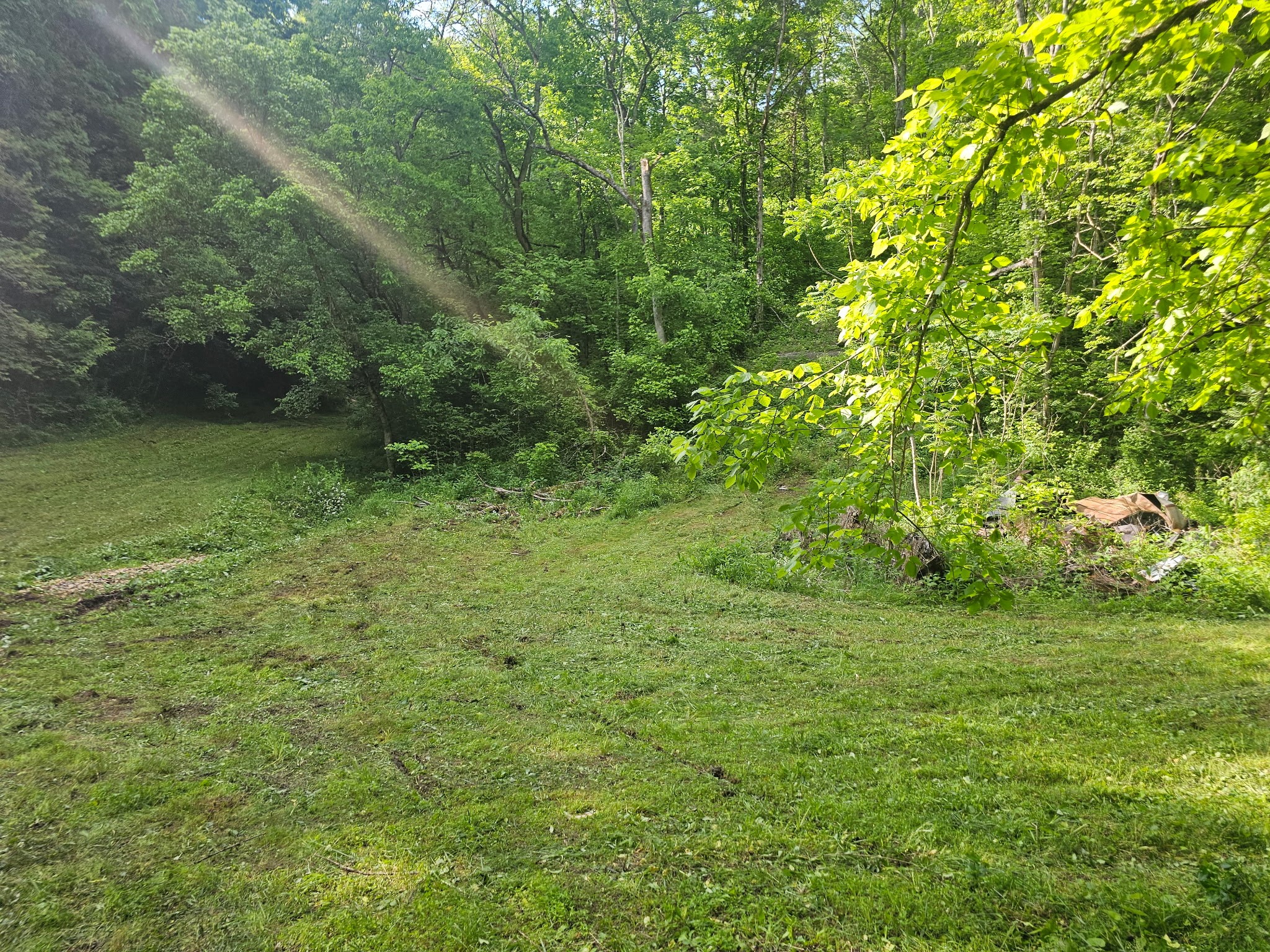 1438 Wartrace Road Pleasant Shade, TN 37145 - Photo 43 of 44 a view of a garden with a tree