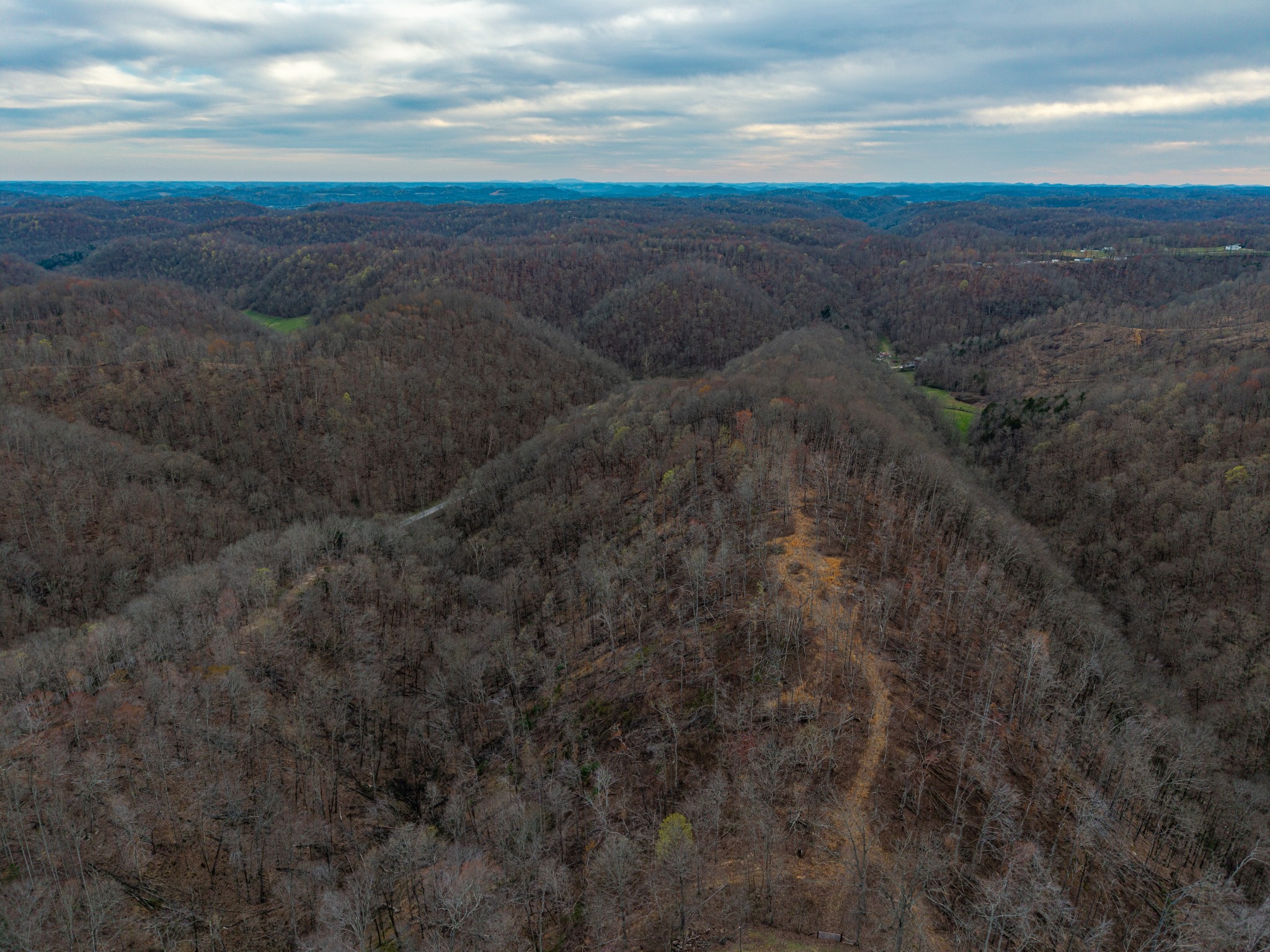 1438 Wartrace Road Pleasant Shade, TN 37145 - Photo 6 of 44 a view of an ocean