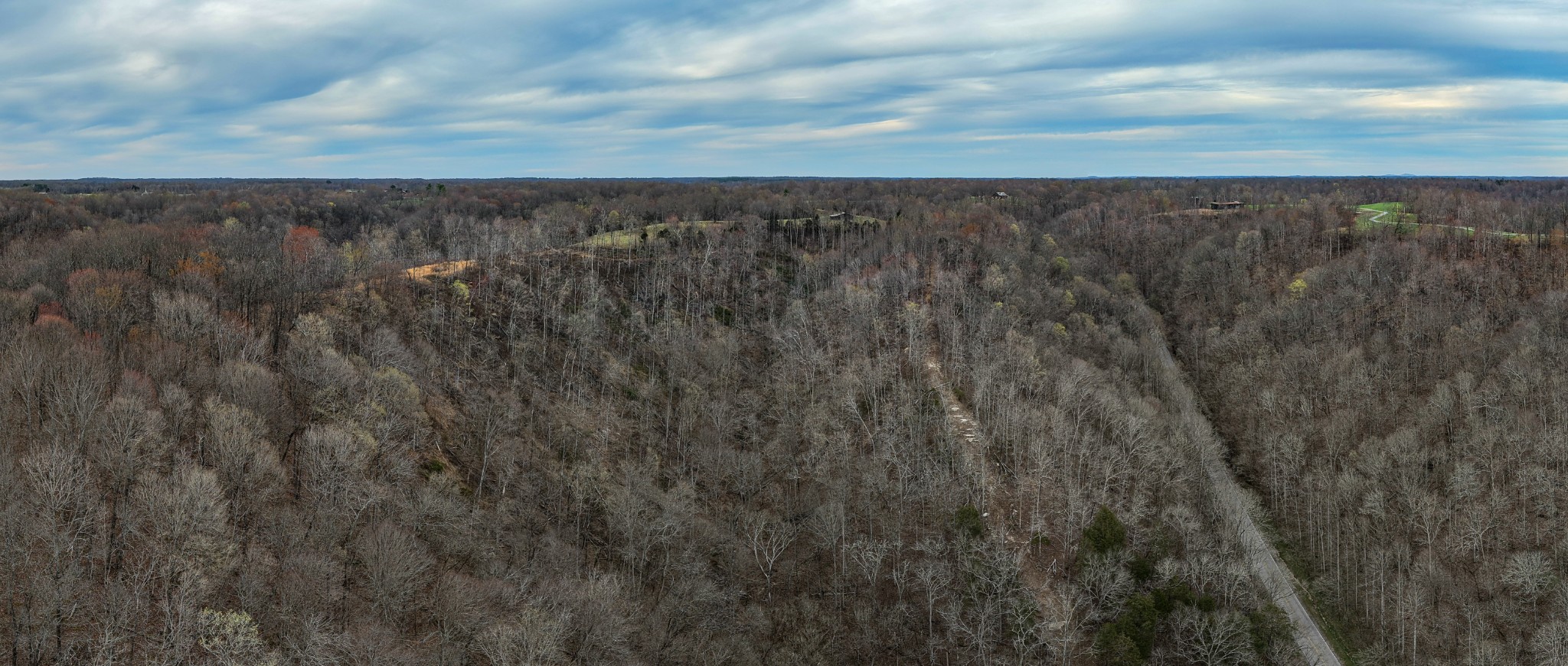 1438 Wartrace Road Pleasant Shade, TN 37145 - Photo 7 of 44 a view of a city with lush green forest
