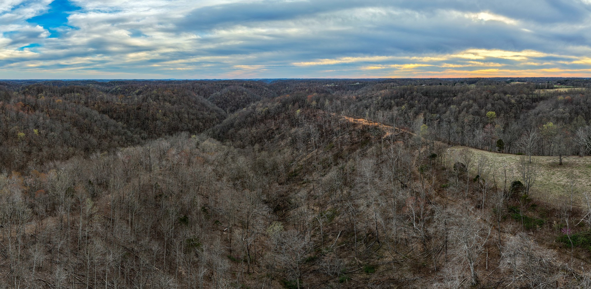 1438 Wartrace Road Pleasant Shade, TN 37145 - Photo 8 of 44