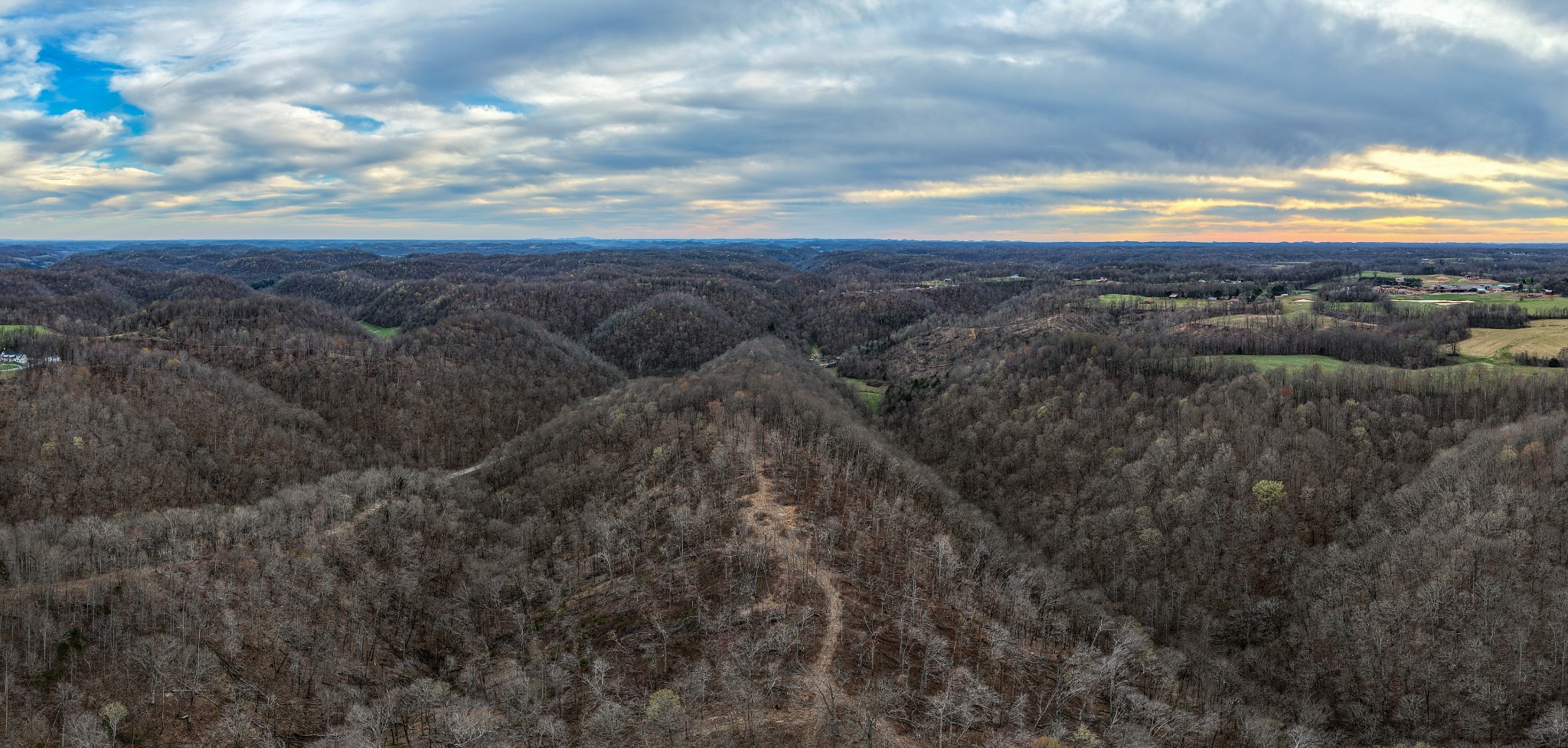 1438 Wartrace Road Pleasant Shade, TN 37145 - Photo 9 of 44 a view of a bunch of trees in a field