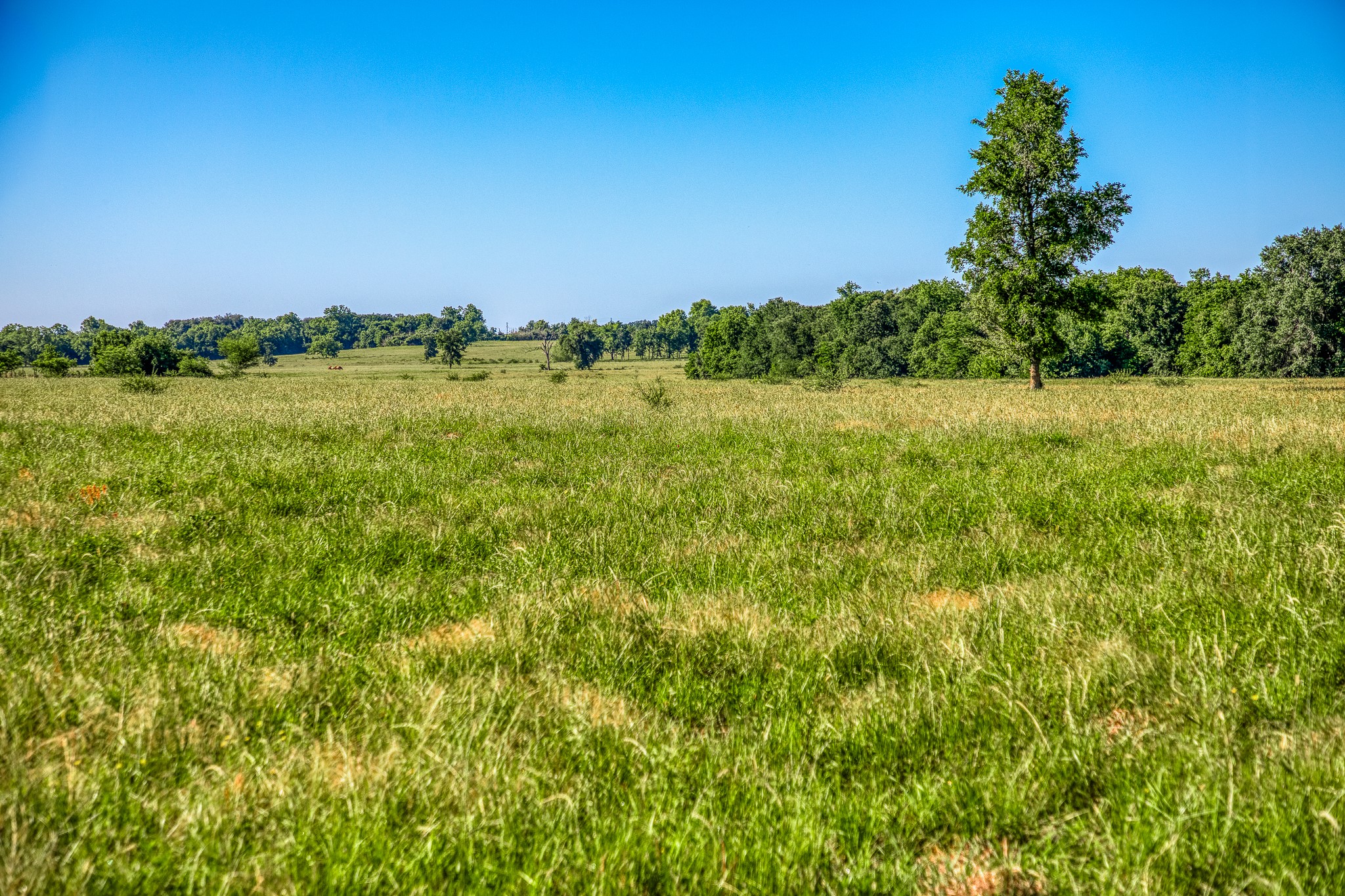0 Flat Prairie Road Washington, TX 77880 - Photo 15 of 19