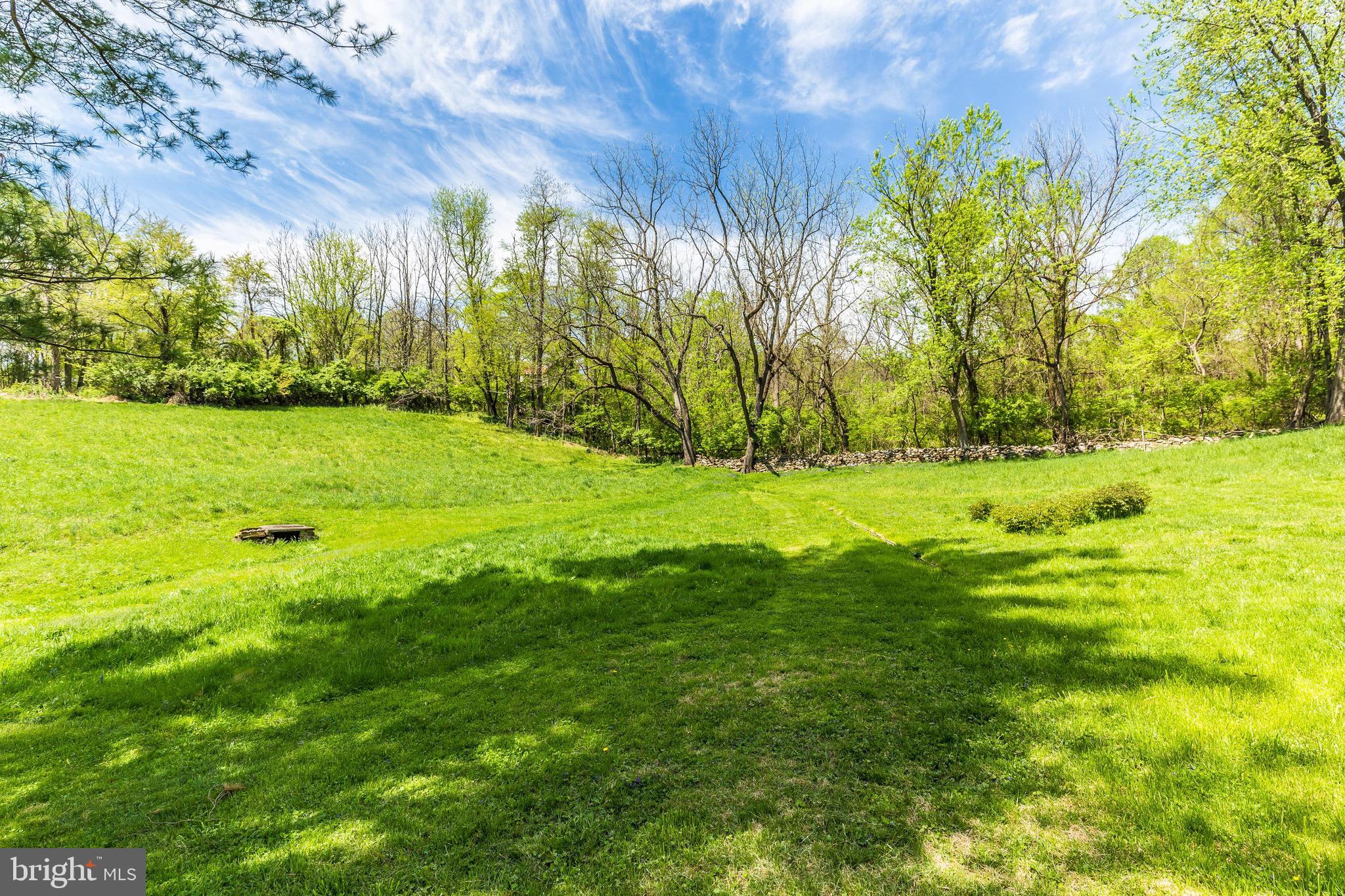 6938 Bowers Road Frederick, MD 21702 - Photo 21 of 40 a view of a yard with a tree