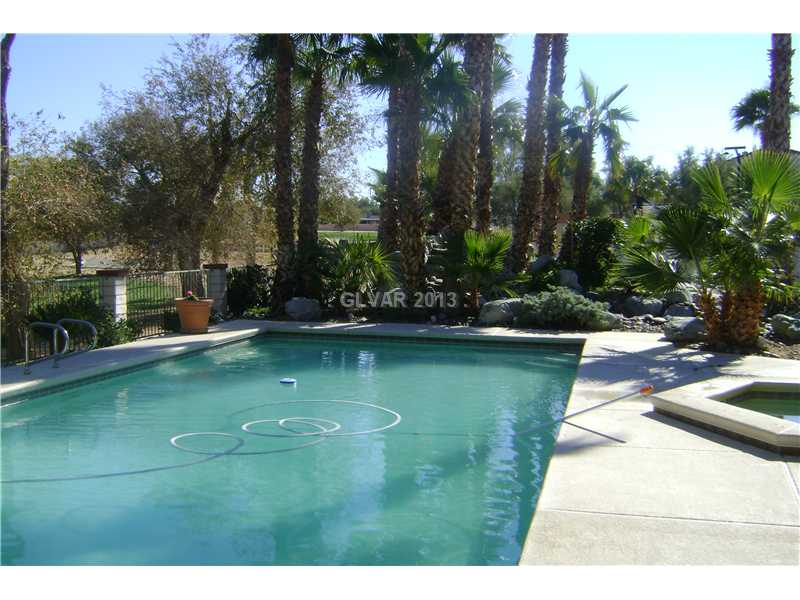 602 St Andrews Road Henderson, NV 89015 - Photo 15 of 18 Swimming Pool/Hot Tub/Sauna.