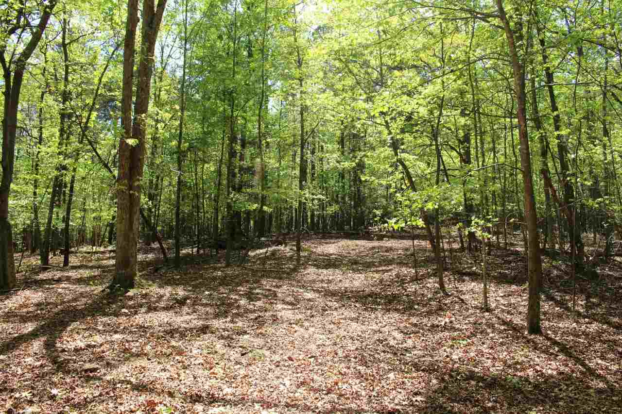 0 Whitestone Road Pacolet, SC 29372 - Photo 1 of 4