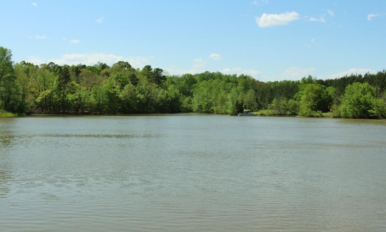 0 Whitestone Road Pacolet, SC 29372 - Photo 4 of 4