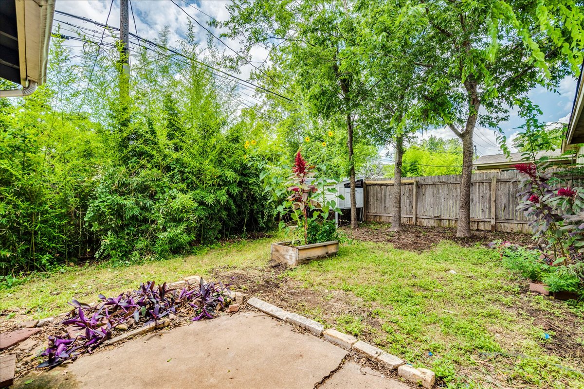 1417 Braes Ridge Drive, Unit B Austin, TX 78723 - Photo 20 of 22 a backyard with potted plants and a large tree