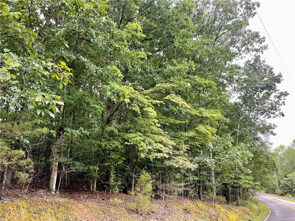 0 Spake Road, Unit LOT D Pendleton, SC 29670 - Photo 3 of 7