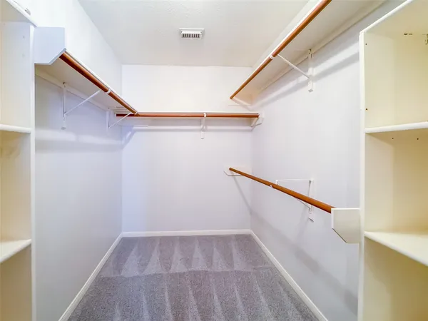 a view of a backyard with plants and large trees