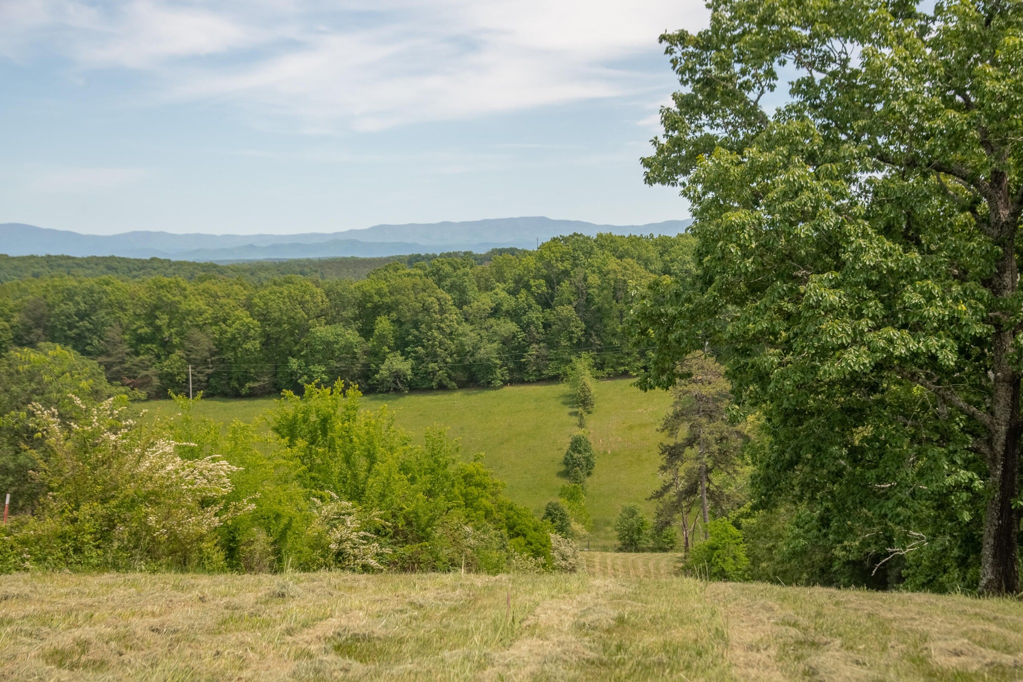5102 Southwest Wesleyan Road Cleveland, TN 37311 - Photo 66 of 73 Gallery Image 66