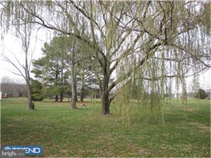 7239 Pearsons Corner Road Dover, DE 19904 - Photo 12 of 18 Gallery Image 12