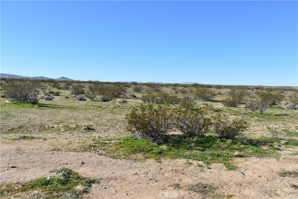 24 Frontier Road Helendale, CA 92342 - Photo 18 of 31