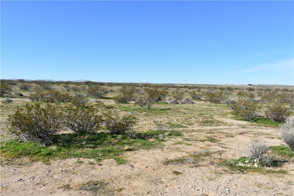 24 Frontier Road Helendale, CA 92342 - Photo 19 of 31