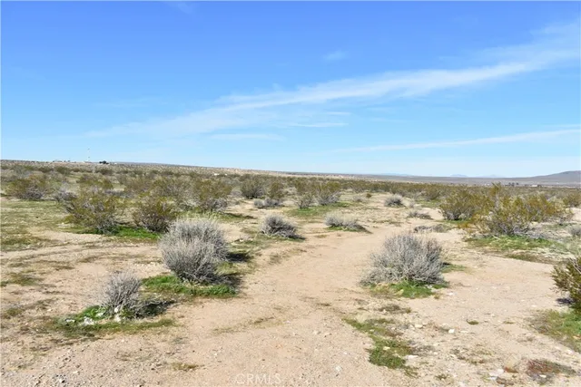 a view of beach and ocean
