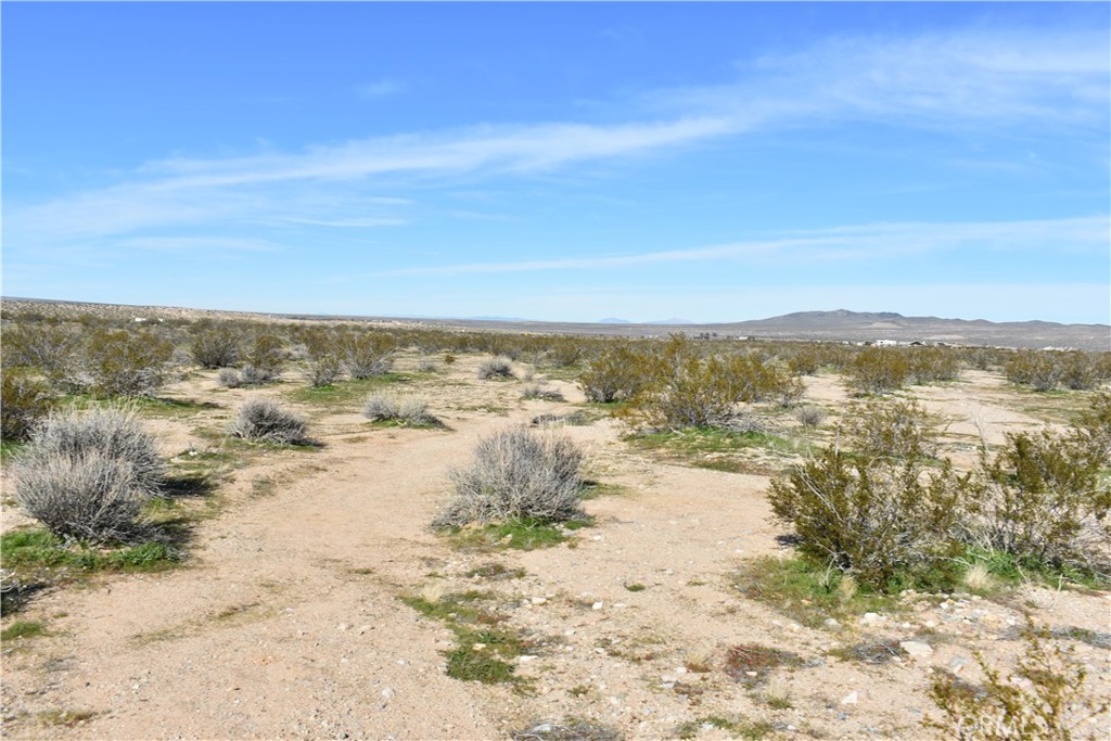 24 Frontier Road Helendale, CA 92342 - Photo 23 of 31