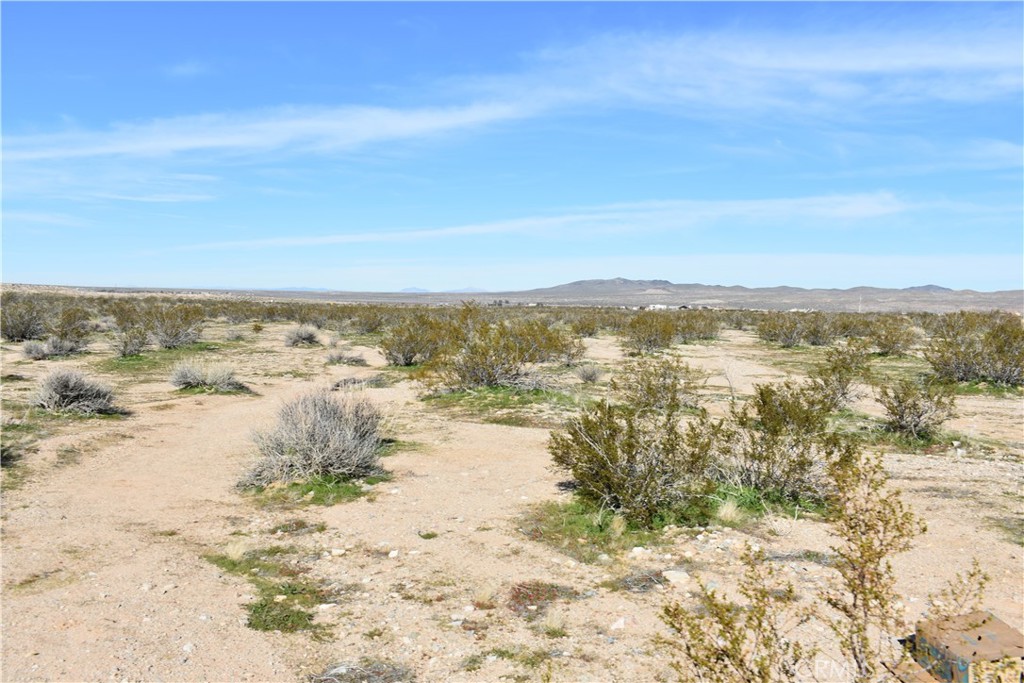 24 Frontier Road Helendale, CA 92342 - Photo 24 of 31