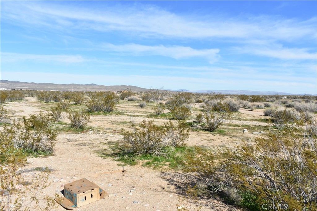 24 Frontier Road Helendale, CA 92342 - Photo 27 of 31