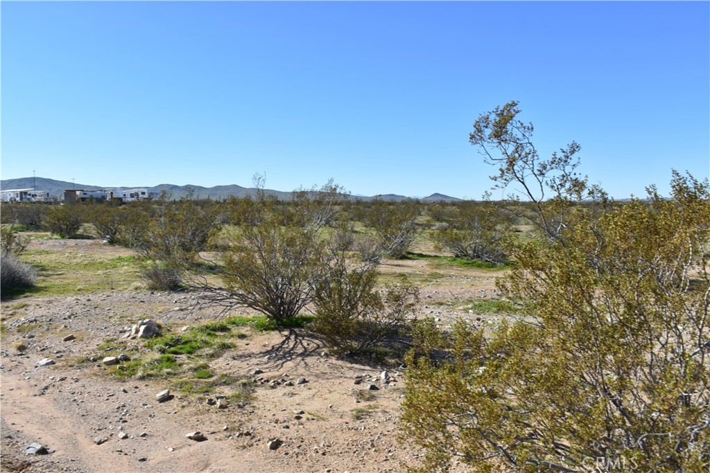 24 Frontier Road Helendale, CA 92342 - Photo 4 of 31