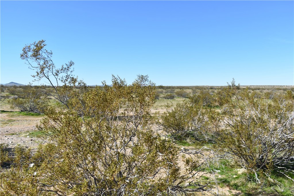 24 Frontier Road Helendale, CA 92342 - Photo 6 of 31