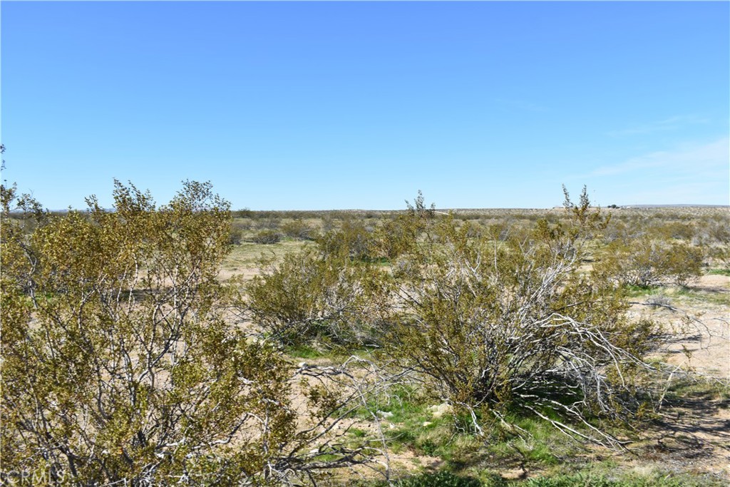 24 Frontier Road Helendale, CA 92342 - Photo 7 of 31