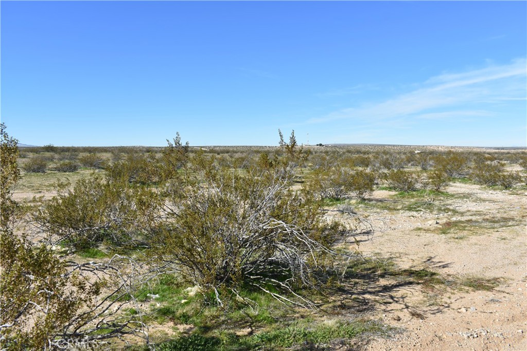 24 Frontier Road Helendale, CA 92342 - Photo 8 of 31