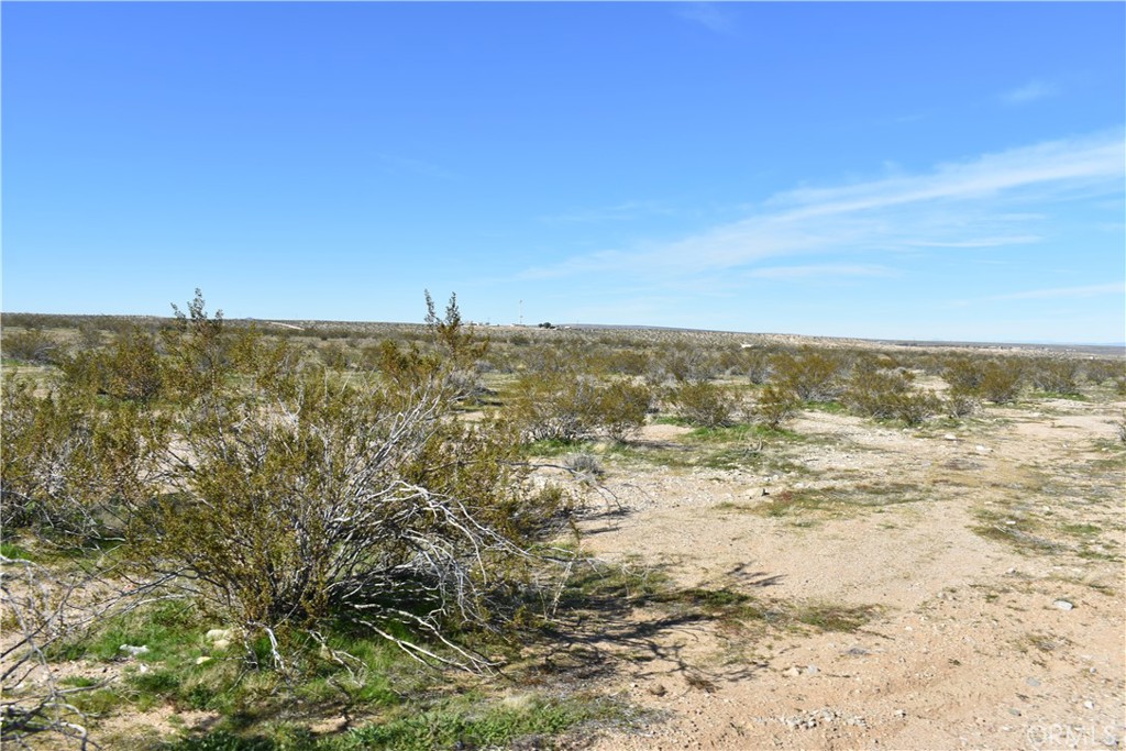 24 Frontier Road Helendale, CA 92342 - Photo 9 of 31